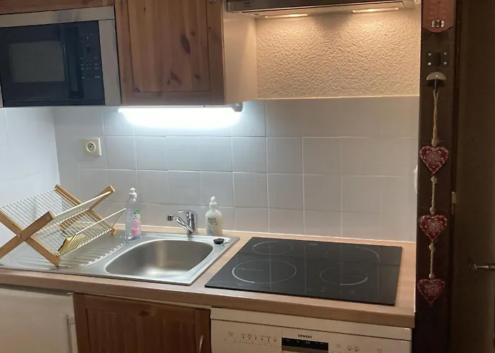 アパート Kandahar 202 - Les Deux Alpes- 5 Personnes- Plein Centre-station, 32m2 *